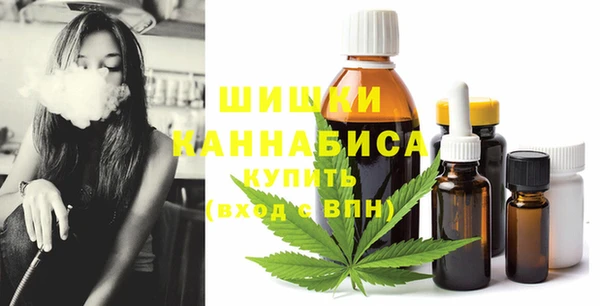 стафф Бородино
