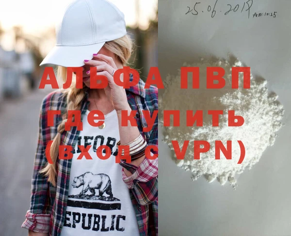 стафф Бородино