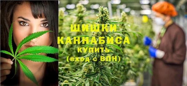 стафф Богородицк
