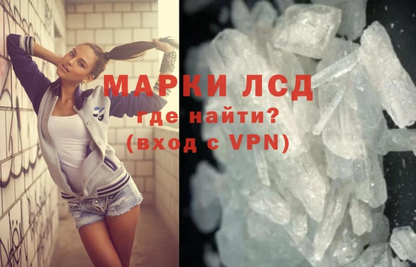 стафф Бородино